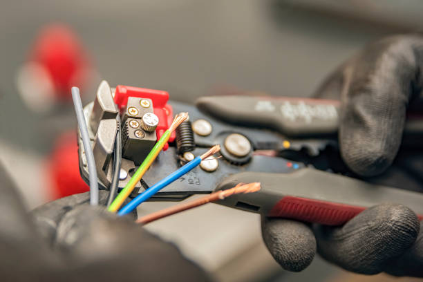 Best Generator Installation Services  in Nes, IL