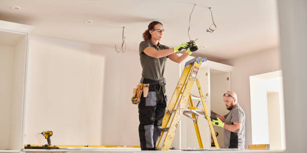 Best Licensed Electrician  in Nes, IL